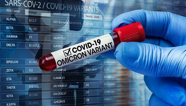 A subvariante BQ.1 é a mesma que circula hoje na Europa e causou o aumento de infecções em países como Alemanha e França (Foto: Divulgação/NIAID)