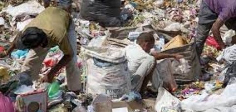 Relatório utiliza dados da Pesquisa Nacional por Amostra de Domicílios - Foto: Reprodução