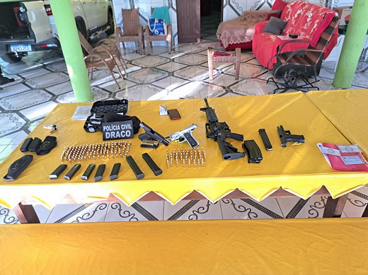 As investigações da Polícia Civil apontaram que os proprietários faziam mau uso do armamento, ao realizar disparos em área habitada, o que levava perigo à comunidade local (Foto: Divulgação)