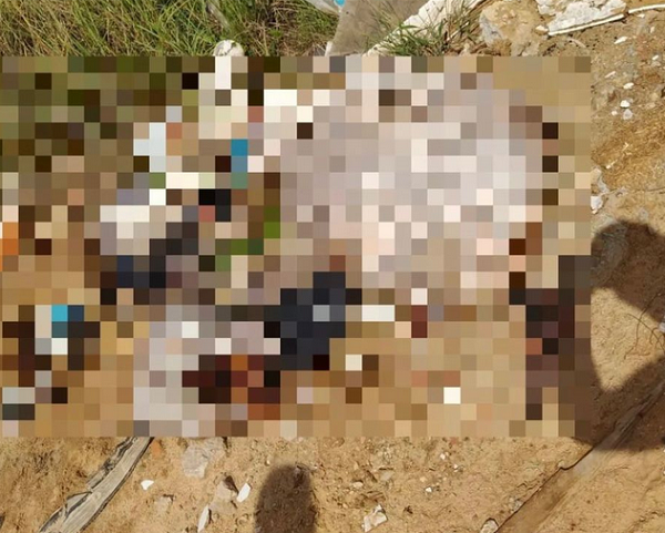 Vítima estava em estado de gigantismo (Foto: Reprodução/Visão Diária)