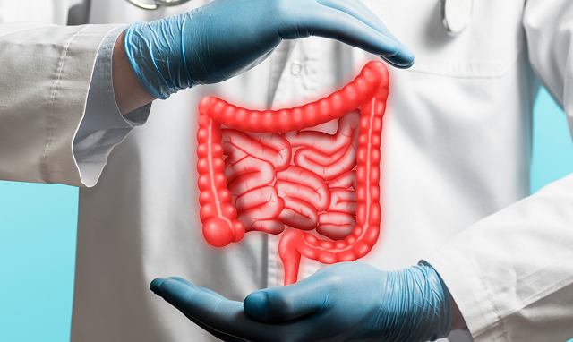 Saiba como reduzir os riscos de desenvolver câncer de intestino