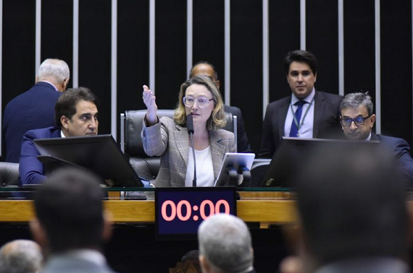 Deputada Maria do Rosário (PT-RS) preside a sessão (Foto: Zeca Ribeiro/Câmara dos Deputados)