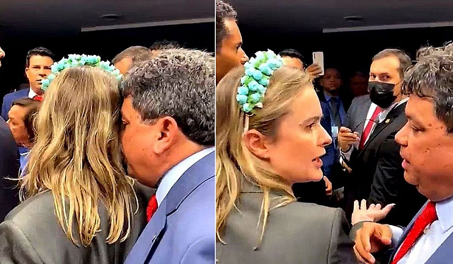 Deputada federal Júlia Zanatta (PL-SC) acusou o colega de Casa Márcio Jerry (PCdoB-MA) de assediá-la durante a sessão da Comissão (Foto: Reprodução)