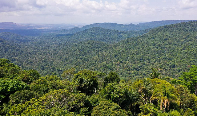 Para Lula, é preciso uma nova governança global mais representativa, com punição para os países que não cumprirem os esforços nas questões climática (Foto: TV Brasil)