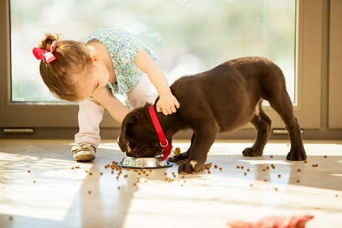 Muitos pais trazem um animal de estimação para sua casa a fim de ensinar a seus filhos a responsabilidade e outras características positivas. Ilustração Google