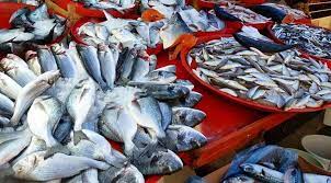 Os peixes contaminados podem transmitir a doença mesmo se forem bem-cozidos. Foto: Reprodução