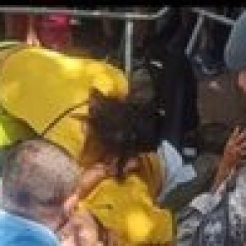 Foto: Reprodução Web