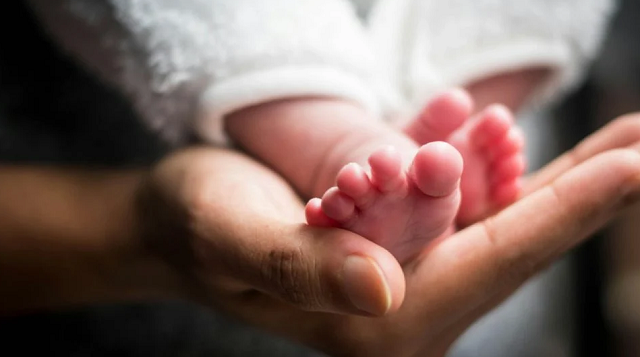 Pesquisa do IBGE aponta queda da natalidade pela quinta vez seguida (Foto: Pexels)