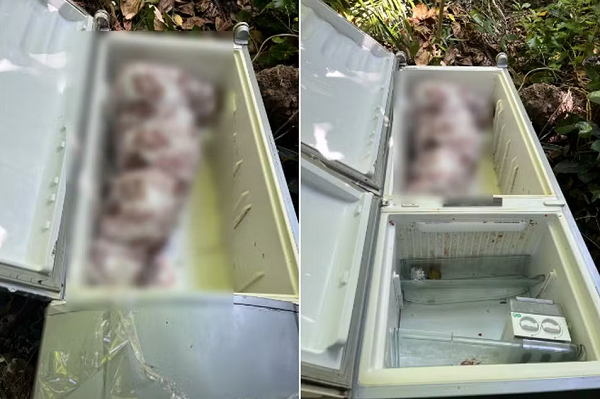 Corpo foi encontrado dentro de uma geladeira (Foto: Reprodução)