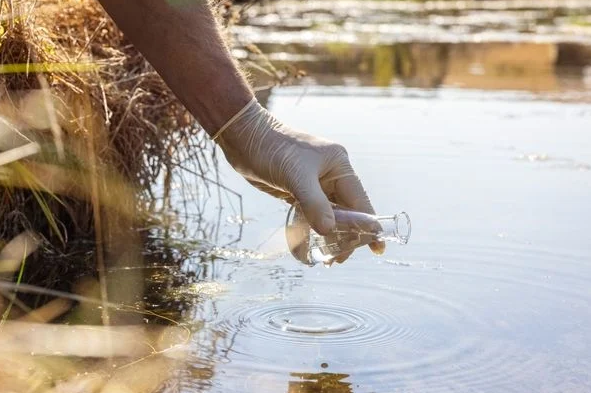 Bactéria da cólera está ativa na natureza (Foto: Shutterstock)