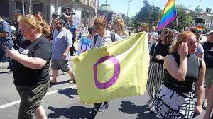 Ativista com a bandeira intersexo durante a Parada do Orgulho Sérvia, realizada em Belgrado no ano de 2019Voto reverte posicionamento do país sob a gestão de Bolsonaro, que não aderiu à pauta em 2020 - Bojan Cvetanović - Creative Commons