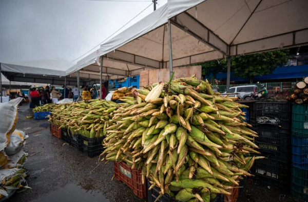 A tradicional Feira do Milho com funcionamento no estacionamento externo do Centro Comercial de Camaçari (CCC), conhecido popularmente como feira (Foto: Divulgação)