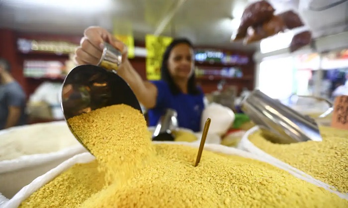 De acordo com o IBGE, 37% deles tinham carteira assinada - Ag Brasil