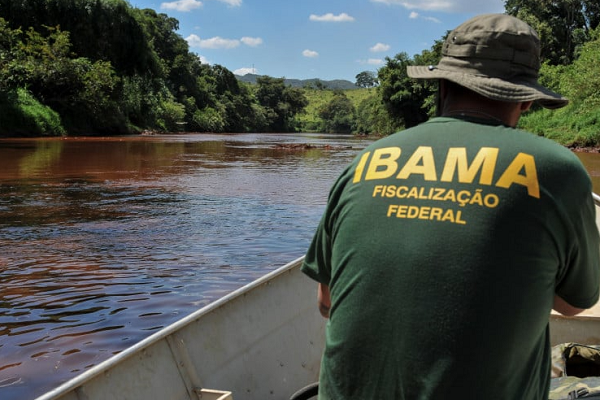Instituto Brasileiro do Meio Ambiente e dos Recursos Naturais Renováveis (Ibama) (Foto: Reprodução)