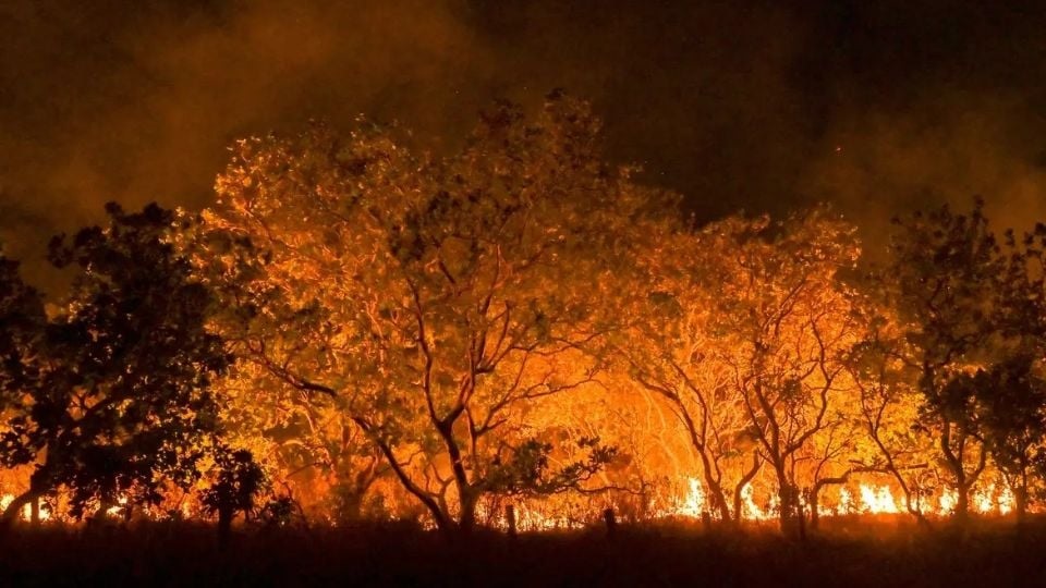 Incêndios se alastram pelo país. Créditos: Jader Souza/AL Roraima