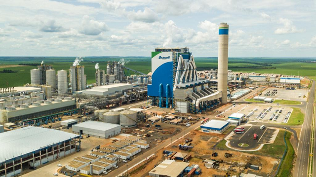 Oportunidade é realizada pela Bracell e MS Florestal (Foto: Divulgação Bracell)