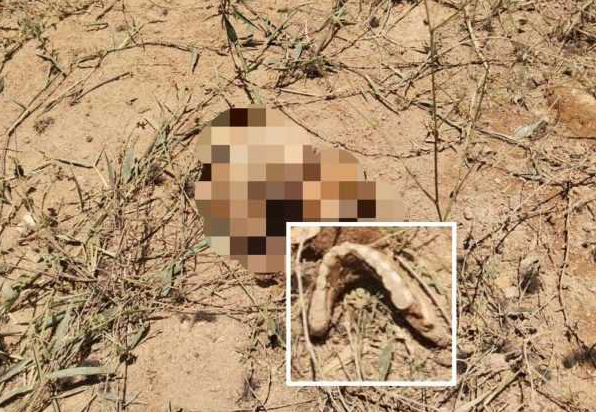Unidade especializada realiza diligências para localizar o corpo do homem, que ainda não foi identificado (Foto: Reprodução/Polícia Civil-BA)