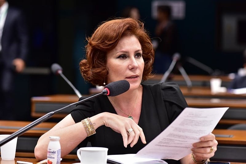 A agoera ex-deputada federal Carla Zambelli (PL) - Divulgação