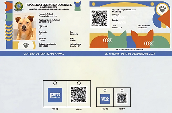 Registro é voluntário e pode ser feito por tutores, organizações de proteção animal ou prefeituras (Foto: Reprodução)