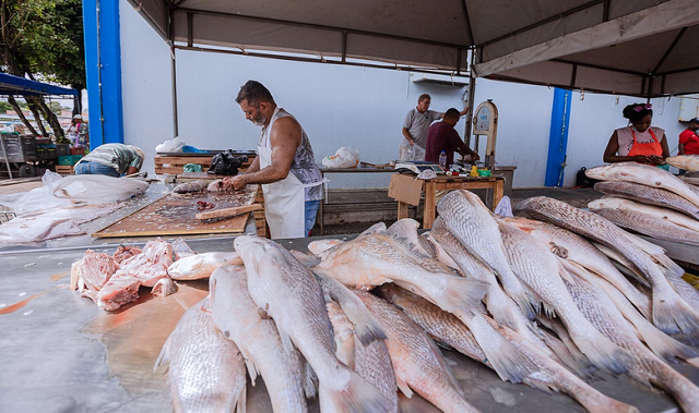 Edição de 2025 conta com 20 barracas, em uma estrutura especial, abarcada por três toldos, especificamente montada para comercialização dos produtos (Foto: Jean Victor)