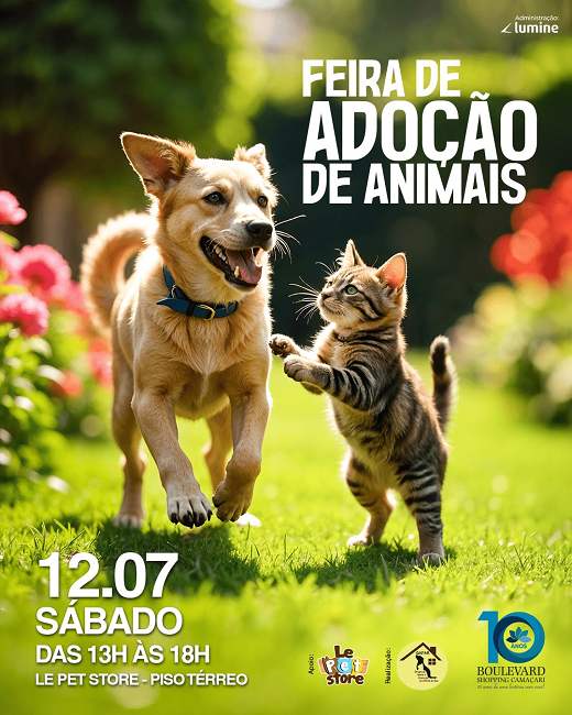 (Foto: Divulgação) (Foto: Divulgação)