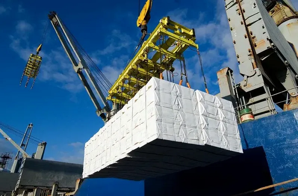Papel e celulose foram os produtos com maiores participação nas exportações do EUA (Foto: Divulgação) Papel e celulose foram os produtos com maiores participação nas exportações do EUA (Foto: Divulgação)