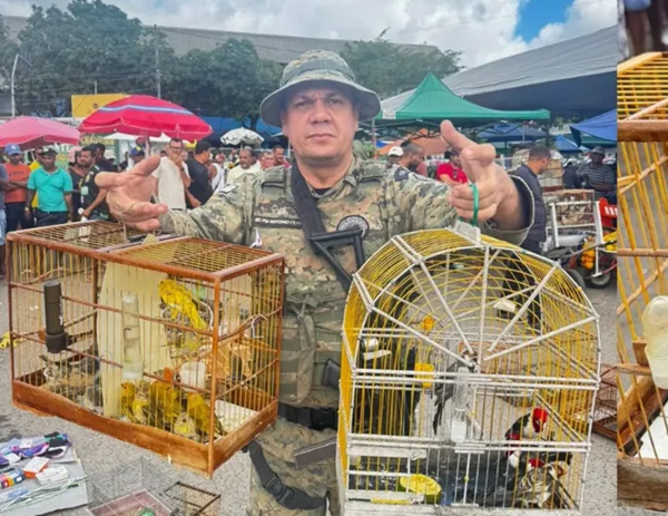 (Foto: Reprodução/Instagram @coppa.pmba.oficial)