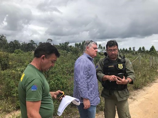 Objetivo da ação é identificar as áreas desmatadas, punir os responsáveis e exigir reparação (Foto: Reprodução)