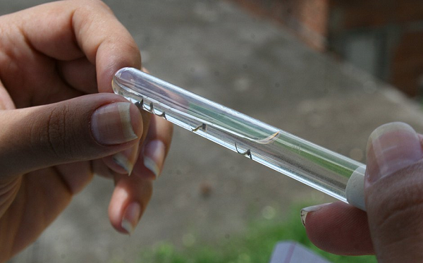 Ações contra o Aedes aegypti serão intensificadas (Foto: Mauro Akin Nassor | CORREIO)