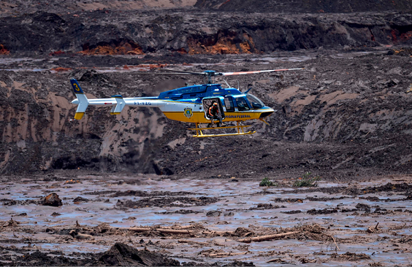 Helicóptero da PRF usou fuzil para atirar em animais que estavam no barro (Foto: Reprodução)
