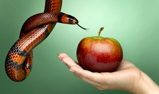 Não se planta milho e espera colher beterrabas. Não se pode 'plantar' o pecado, mesmo em privado, e não esperar colher suas consequências (Foto: Ilustrativa) Não se planta milho e espera colher beterrabas. Não se pode 'plantar' o pecado, mesmo em privado, e não esperar colher suas consequências (Foto: Ilustrativa)