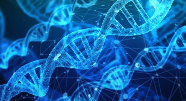 DNA mostrou que mulher de 41 anos é filha do médico que fez inseminação (Foto: Reprodução) DNA mostrou que mulher de 41 anos é filha do médico que fez inseminação (Foto: Reprodução)
