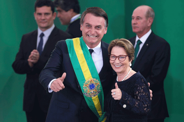 Presidente eleito Jair Bolsonaro e Tereza Cristina (Foto: Valter Campanato | Agência Brasil) Presidente eleito Jair Bolsonaro e Tereza Cristina (Foto: Valter Campanato | Agência Brasil)