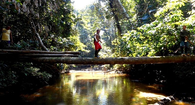 Após percorrer uma região de difícil acesso uma equipe da Funai conseguiu localizar através do uso de drones evidências de índios isolados (Foto: Reprodução) Após percorrer uma região de difícil acesso uma equipe da Funai conseguiu localizar através do uso de drones evidências de índios isolados (Foto: Reprodução)