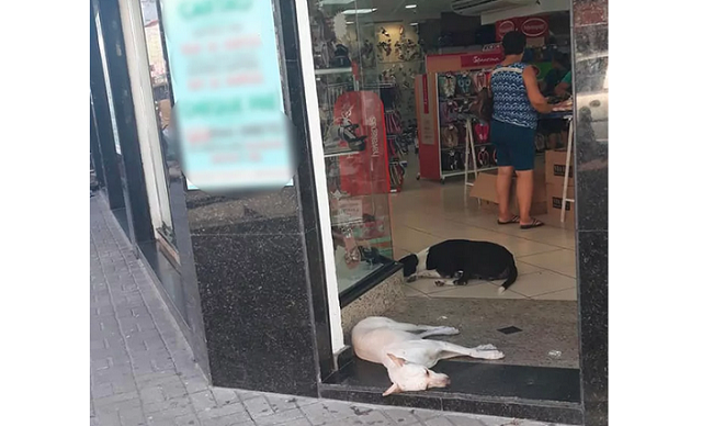 Gesto impressionou os clientes de uma loja em Cabo Frio, no RJ (Foto: Quezia Narciso | Arquivo Pessoal) Gesto impressionou os clientes de uma loja em Cabo Frio, no RJ (Foto: Quezia Narciso | Arquivo Pessoal)