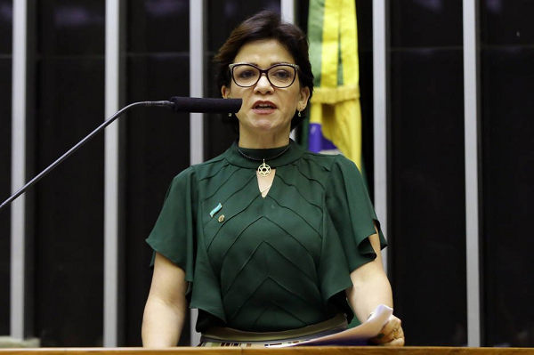 A deputada federal Alê Silva (PSL-MG) em depoimento na Câmara dos Deputados (Foto: Najara Araujo | Câmara dos Deputados) A deputada federal Alê Silva (PSL-MG) em depoimento na Câmara dos Deputados (Foto: Najara Araujo | Câmara dos Deputados)