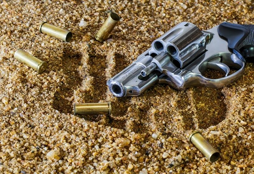 Todos os requerimentos referentes a armas de fogo devem ser feitos agora no Sinarm II (Foto: Reprodução)