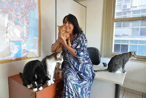 Defensora dos animais, a vereadora Ana Rita Tavares tem 19 gatos em seu gabinete (Foto: Reprodução | A Tarde)