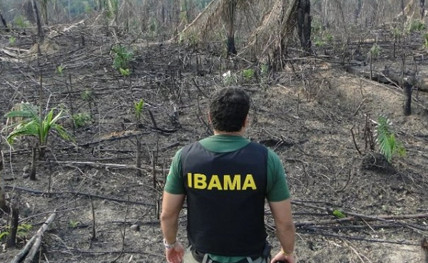 As medidas foram anunciadas após o aumento do desmatamento na Amazônia e mudanças na gestão do fundo (Foto: Reprodução) As medidas foram anunciadas após o aumento do desmatamento na Amazônia e mudanças na gestão do fundo (Foto: Reprodução)