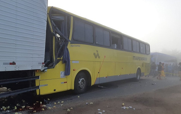 O ônibus havia saído do Rio de Janeiro com destino a Aracaju e transportava 40 passageiros (Foto: Reprodução) O ônibus havia saído do Rio de Janeiro com destino a Aracaju e transportava 40 passageiros (Foto: Reprodução)